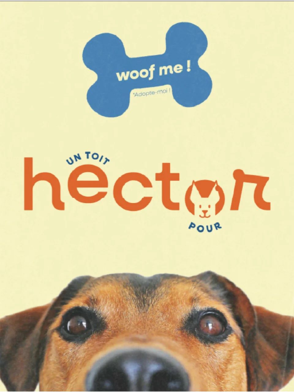 Un toit pour hector - BRanding - Chloé Lance