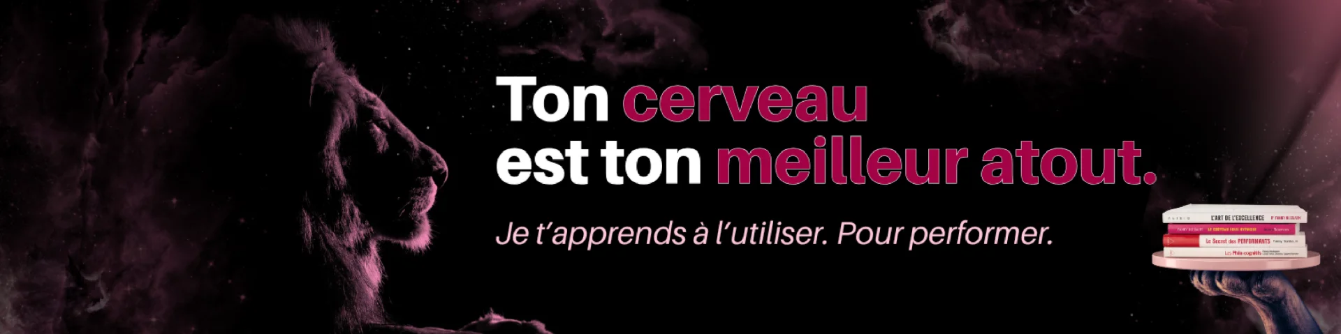 Branding LinkedIn - Fanny