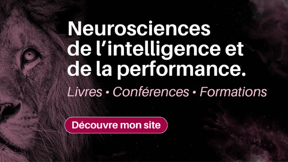 Branding LinkedIn - Fanny