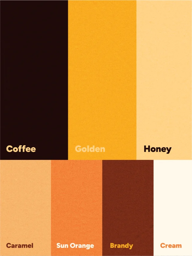 Bonher _ Identité visuelle