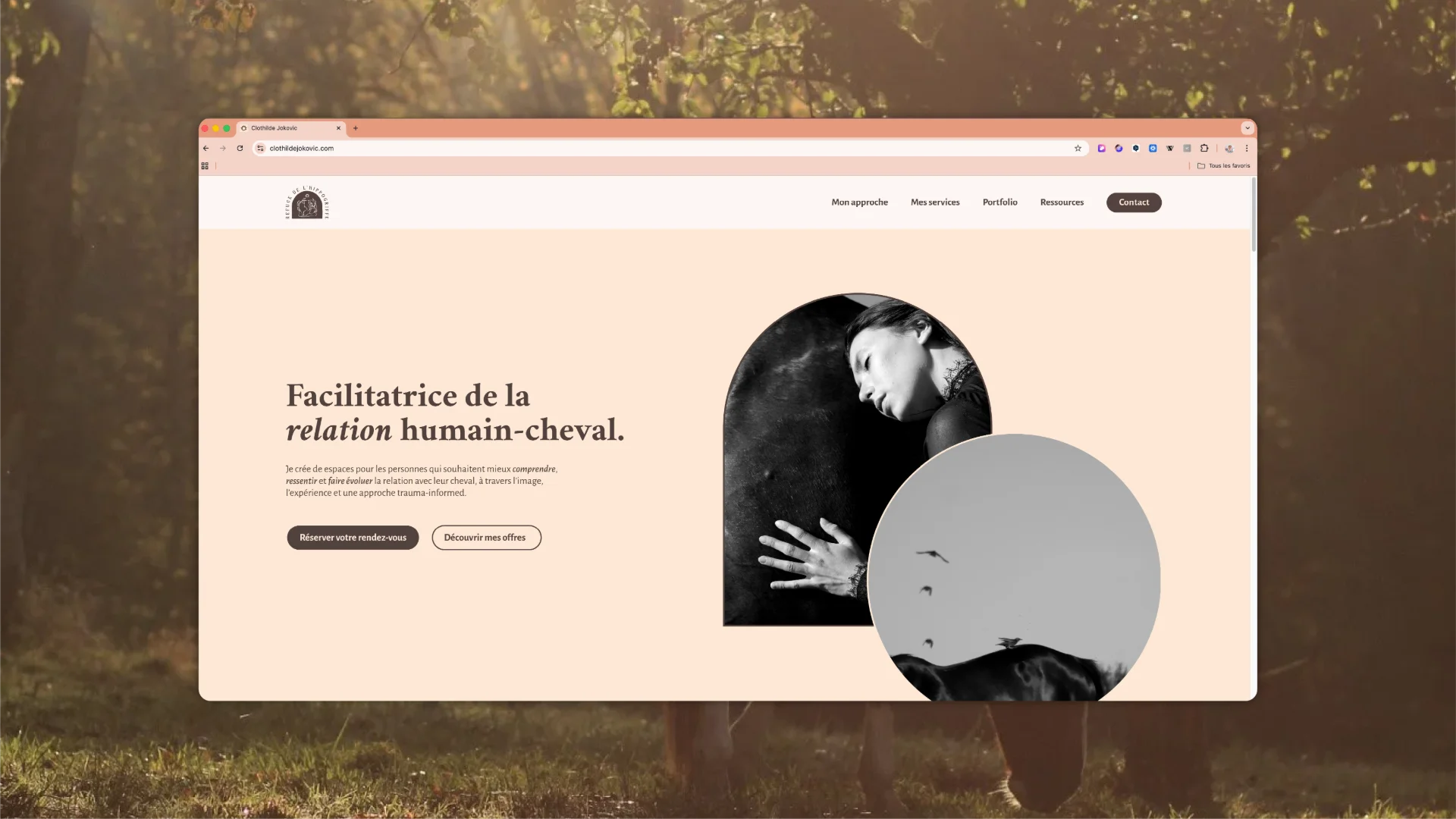 facilitatrice-relation-humain-cheval